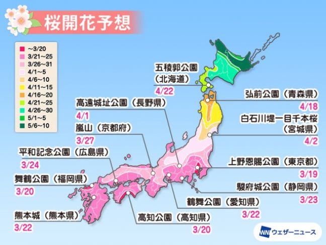 lịch ngắm hoa anh đào 2021